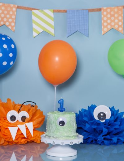 smash the cake (8)